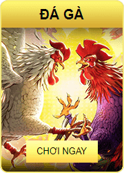 999BET - Link tải game bài 999 BET App: Apk, iOS, Android 29 da ga