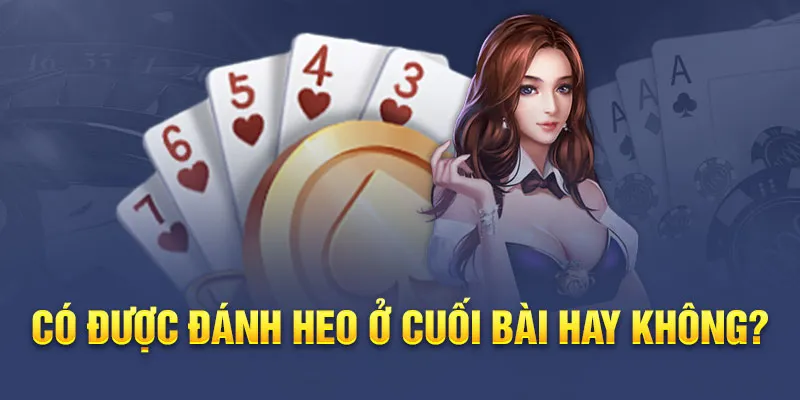 Heo trong Tiến Lên Miền Nam